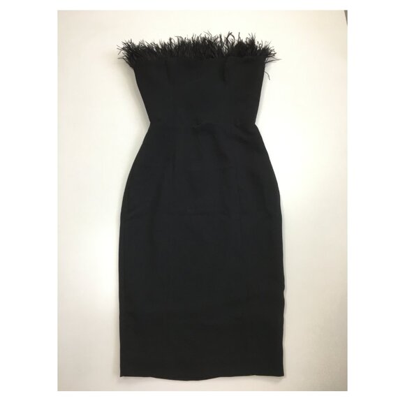 House of CB Dresses & Skirts - HOUSE OF CB Black Feather Inserts Sleeveless Dress